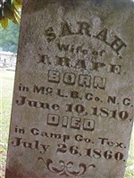 Sarah Laney Rape