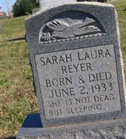Sarah Laura Reyer Sarah Laura Reyer
