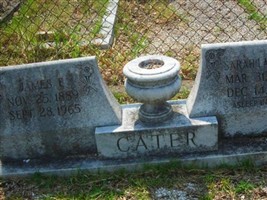 Sarah Lavinnie Cater