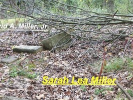 Sarah Letitia Lea Miller