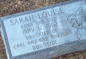 Sarah Louise Burnside