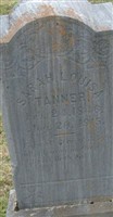 Sarah Louise Tanner Sarah Louise Tanner