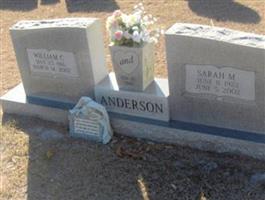 Sarah M. Anderson