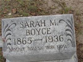 Sarah M Boyce