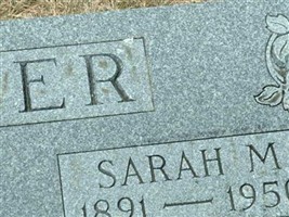 Sarah M Carver