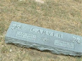 Sarah M Carver