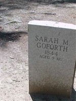 Sarah M. Goforth