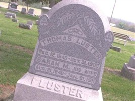 Sarah M. Knight Luster Sarah M. Knight Luster