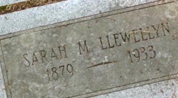 Sarah M. Llewellyn Sarah M. Llewellyn