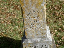 Sarah M. Newland