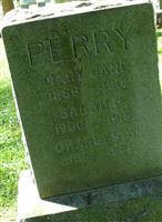 Sarah M Perry