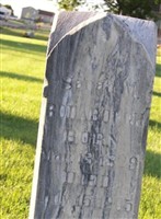 Sarah Mahala Vance Rodabough