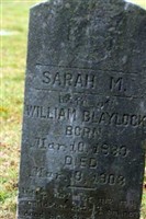 Sarah Malinda Pritchard Blaylock