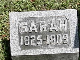 Sarah Morrison