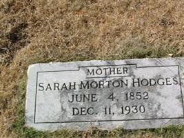 Sarah Morton Hodges