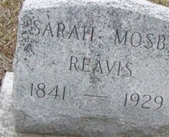 Sarah Mosby Reavis