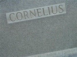 Sarah N Cornelius Sarah N Cornelius