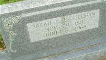 Sarah N. E. Willman Sarah N. E. Willman