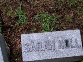 Sarah Noll
