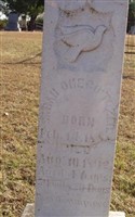 Sarah Omega Tozer Sarah Omega Tozer