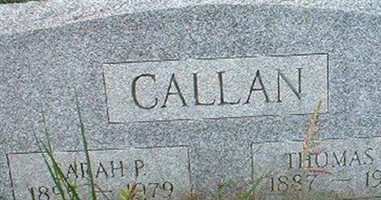 Sarah P Callan