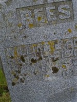 Sarah Perin Rees