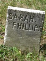 Sarah Phillips