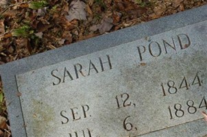 Sarah Pond Sarah Pond