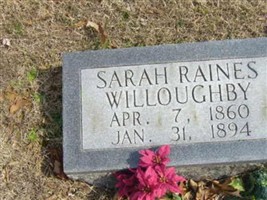 Sarah Raines Willoughby