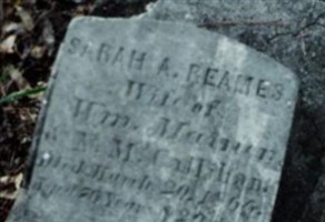 Sarah Ann Reames Mainer Calliham