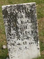 Sarah Robb