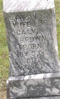 Sarah S. Lasater Brown