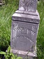 Sarah Jane "Sallie" White Calfee