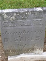 Sarah Sarls Trapp Sarah Sarls Trapp