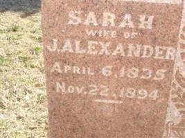 Sarah Self Alexander (1890147.jpg)