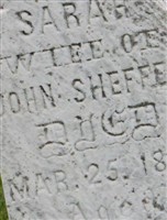 Sarah Shaffer Sheffer Sarah Shaffer Sheffer
