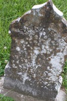 Sarah T Pope