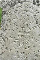 Sarah Tapp Sarah Tapp