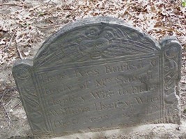 Sarah Tuttle Hasey Sarah Tuttle Hasey