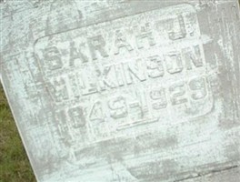 Sarah U. Wilkinson Sarah U. Wilkinson