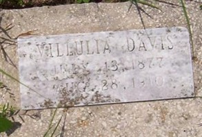 Sarah Villulia Rainey Davis