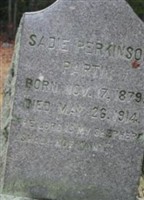 Sarah Viola Perkinson Partin Sarah Viola Perkinson Partin