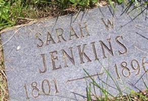 Sarah W Jenkins