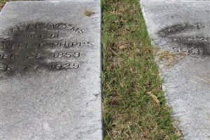 Sarah Weems Phipps