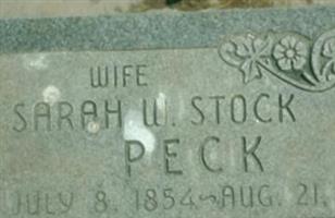 Sarah Wilkinson Stock Peck