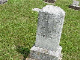 Sarah Zumwalt Brandon