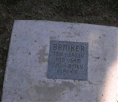 Sassy Brinker