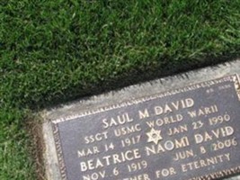 Saul David Saul David