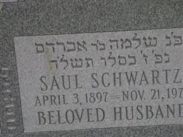 Saul Schwartz