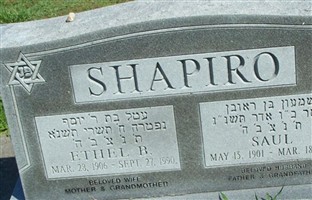 Saul Shapiro Saul Shapiro